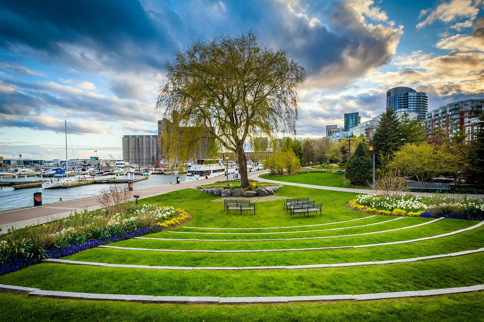 CARE : Story : 72,954 Steps Through Toronto: Our Favourite Walking ...